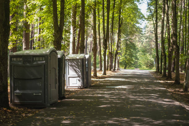 Best Porta potty services near me  in Lake Hamilton, AR